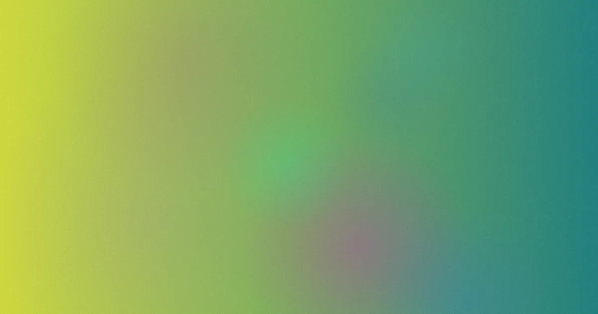 XxXx美国推荐：新手这样选